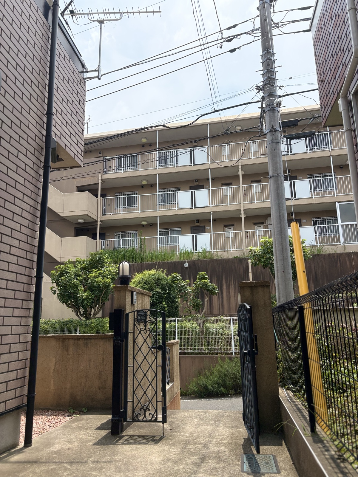 通所・外出の様子